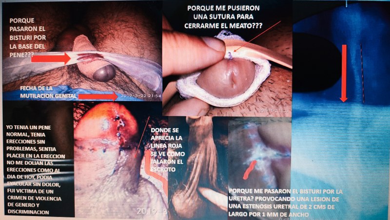 Dr Jose Andres Olivo Garate