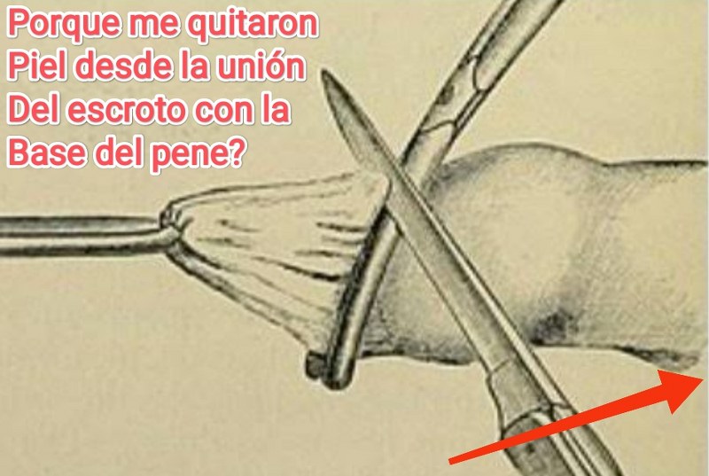 Dr Jose Andres Olivo Garate