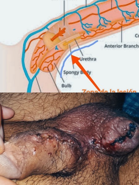 dr jose andres olivo garate