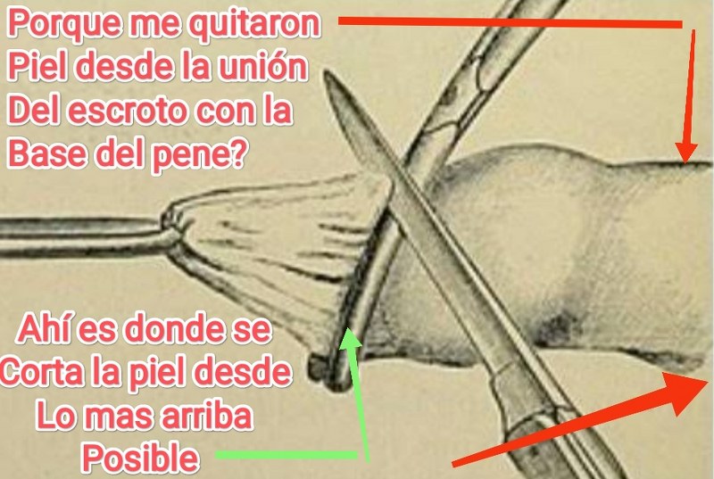 dr jose andres olivo garate