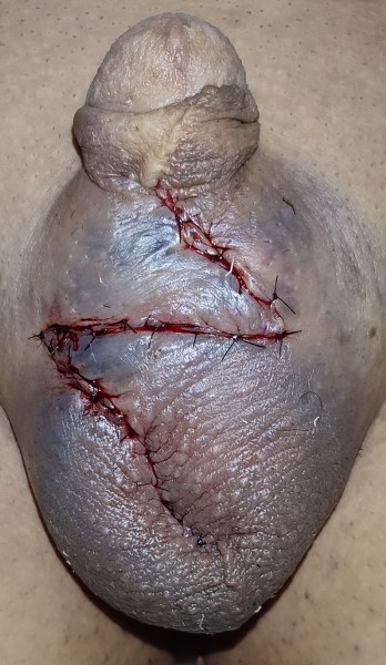 dr jose andres olivo garate