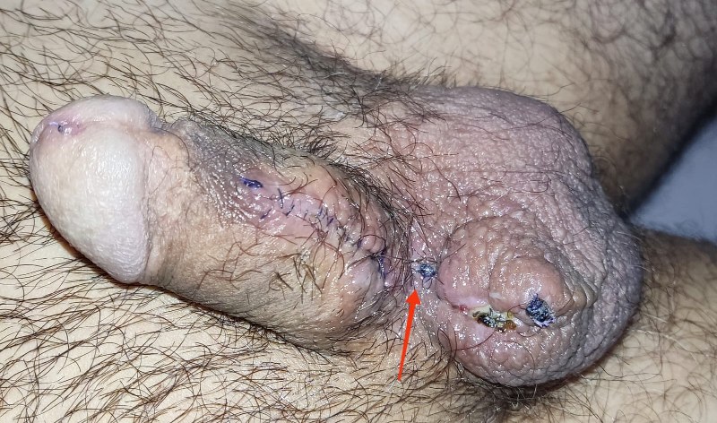 dr jose andres olivo garate